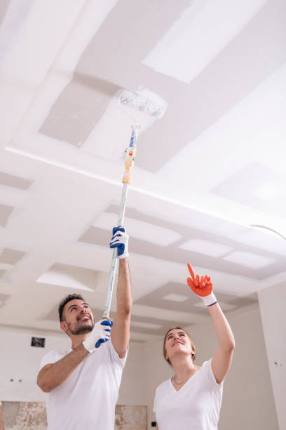 Best Mold Prevention Services  in Westfield, PA